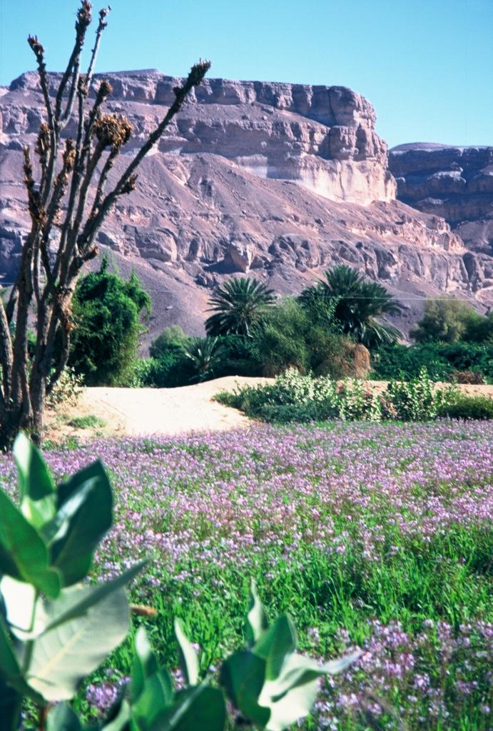 Hadramaut au Yémen